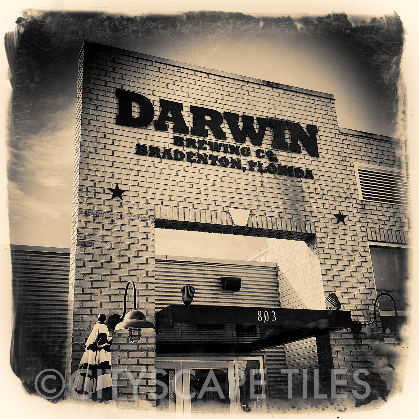Darwin Brewing