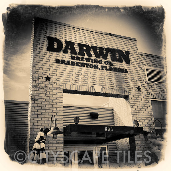 Darwin Brewing