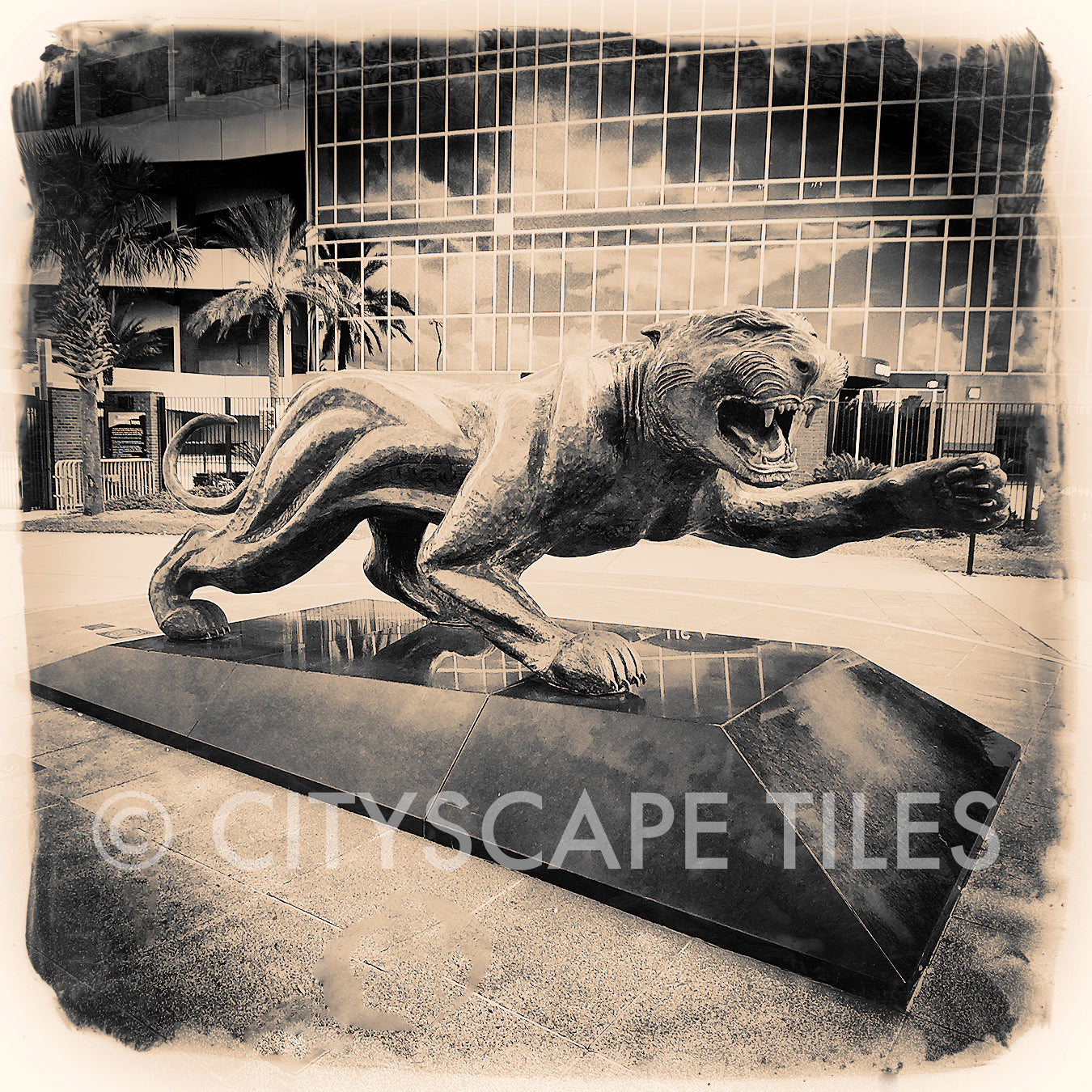 Jacksonville Jaguars