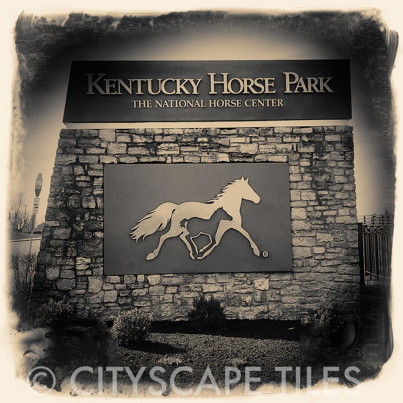 Kentucky Horse Park