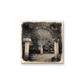 Krutch Park