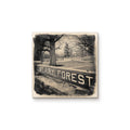 Mt Airy Forest