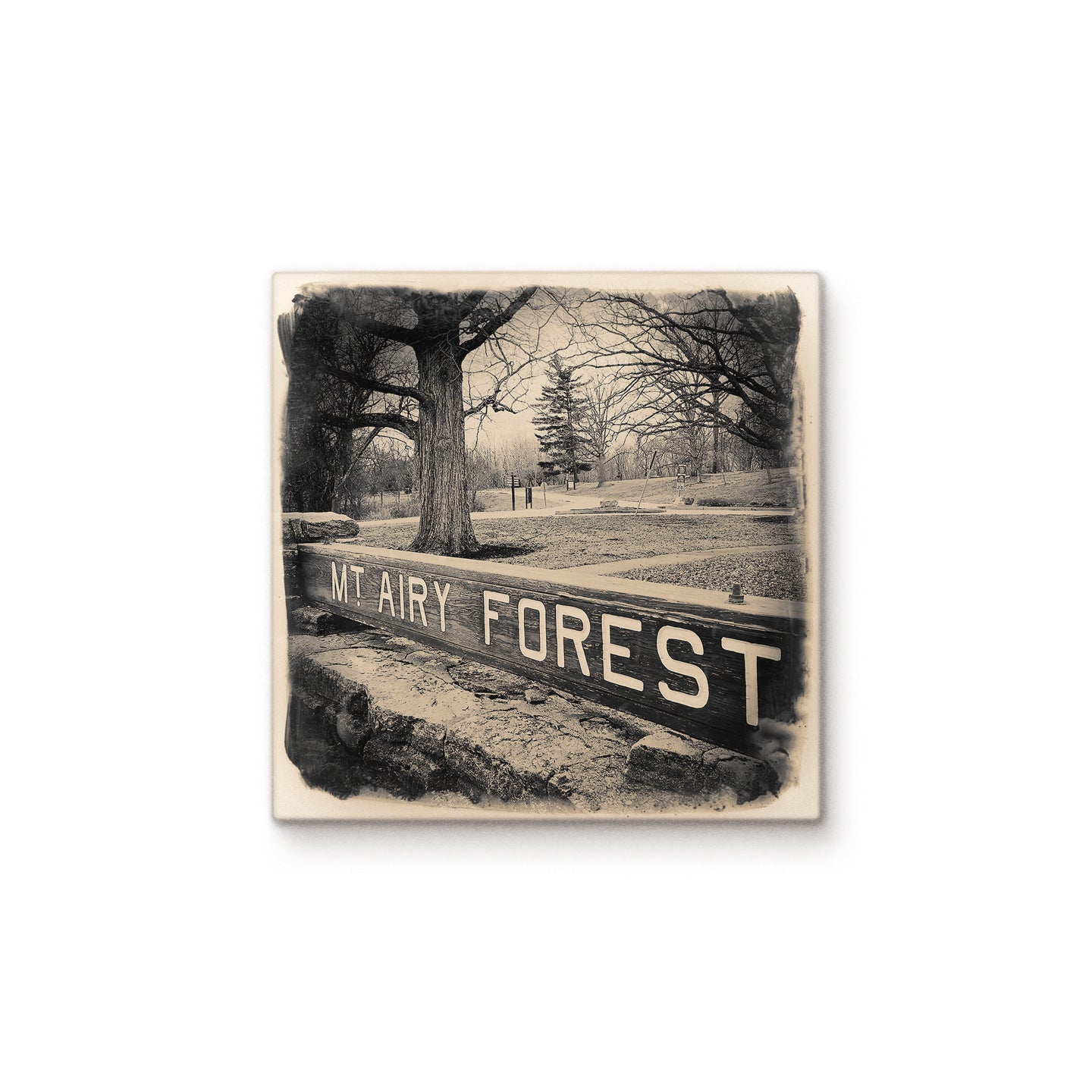 Mt Airy Forest