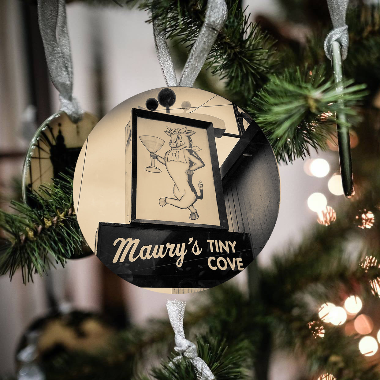 Maury's Tiny Cove