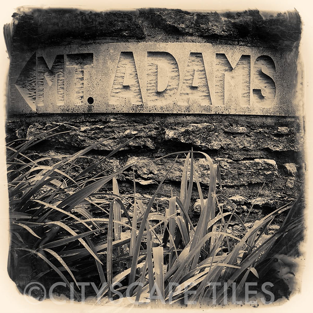 Mt Adams