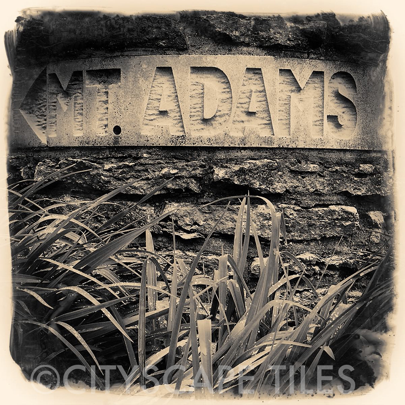 Mt Adams