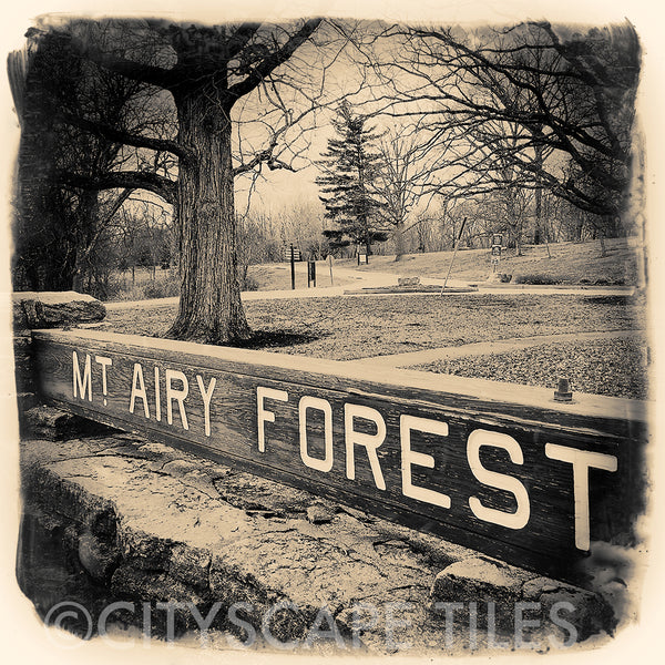 Mt Airy Forest
