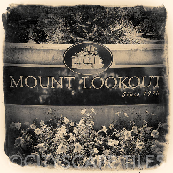 Mt Lookout