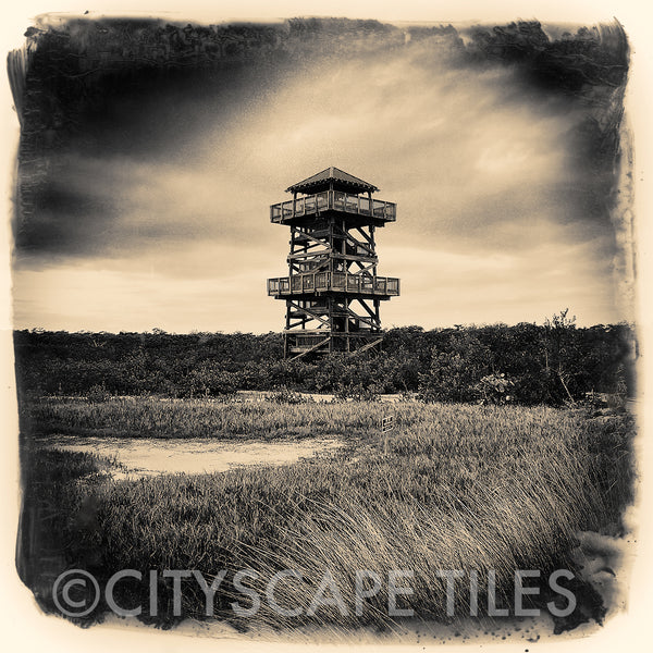 Observation Tower at Robinson Preserve