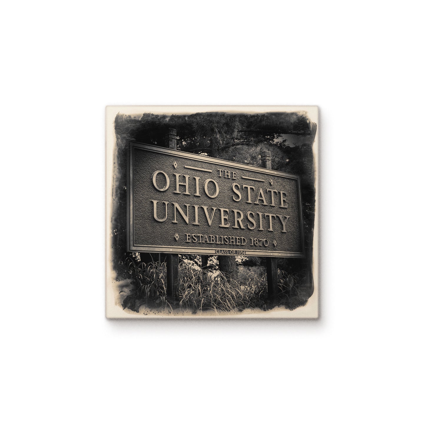 The Ohio State University