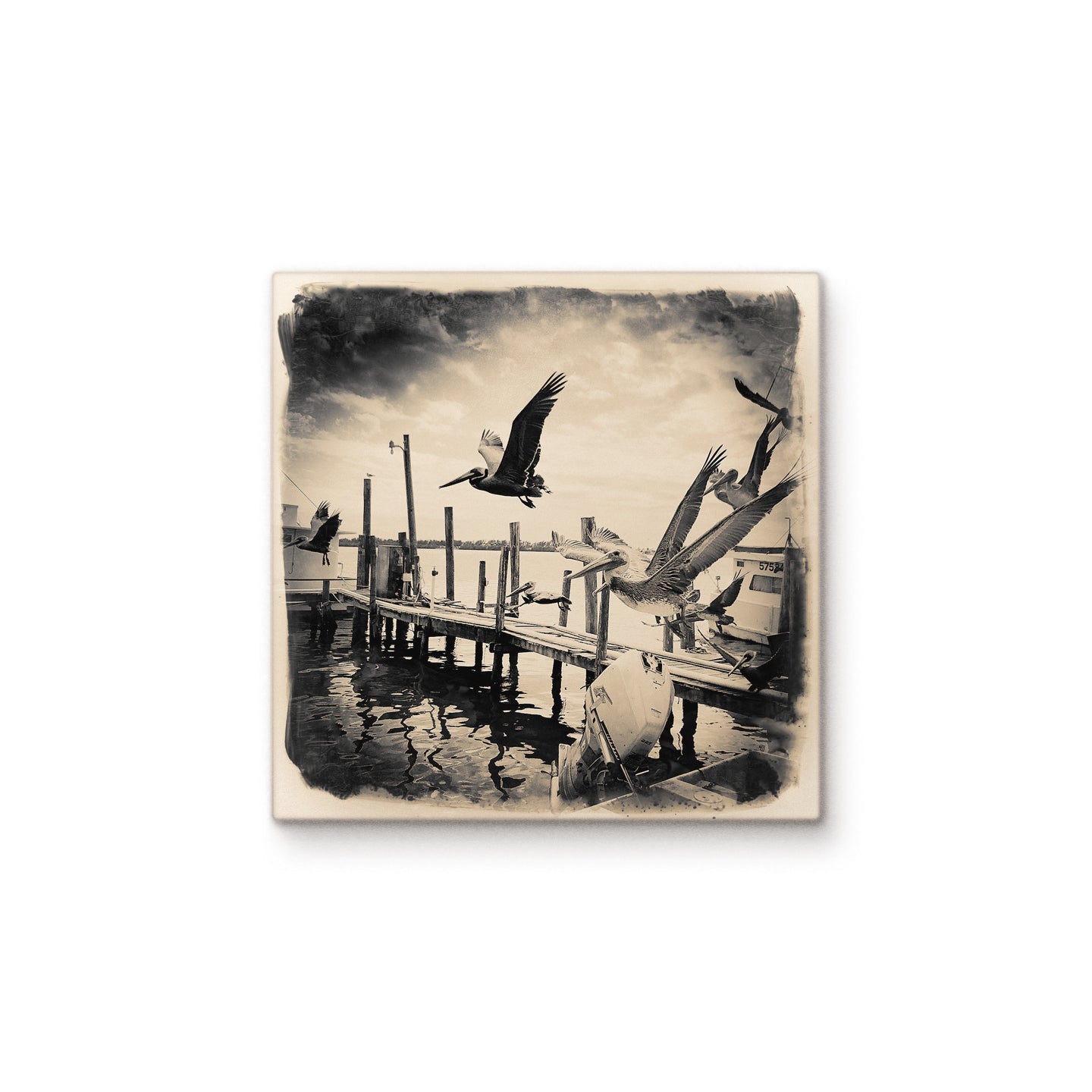 Pelicans