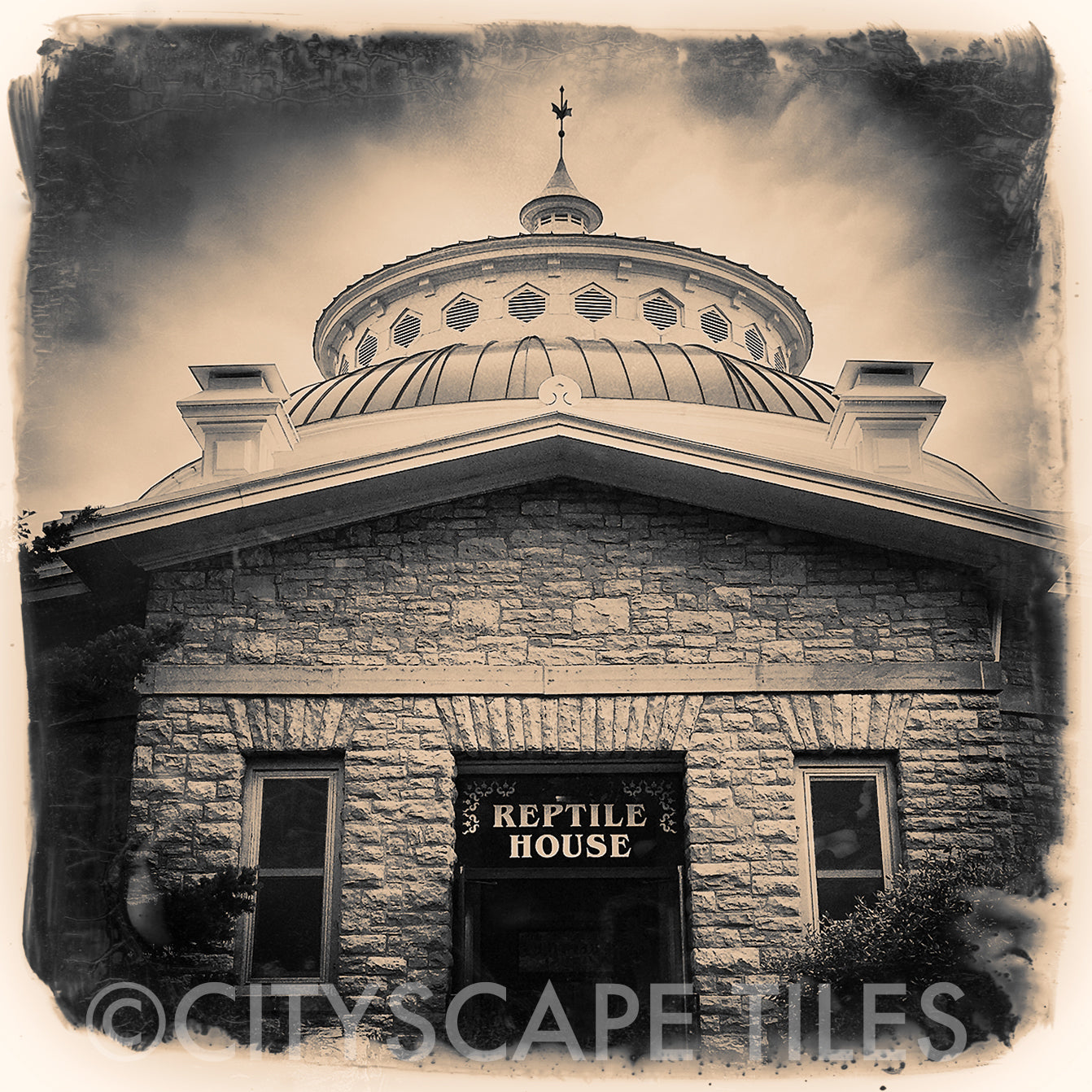 Reptile House