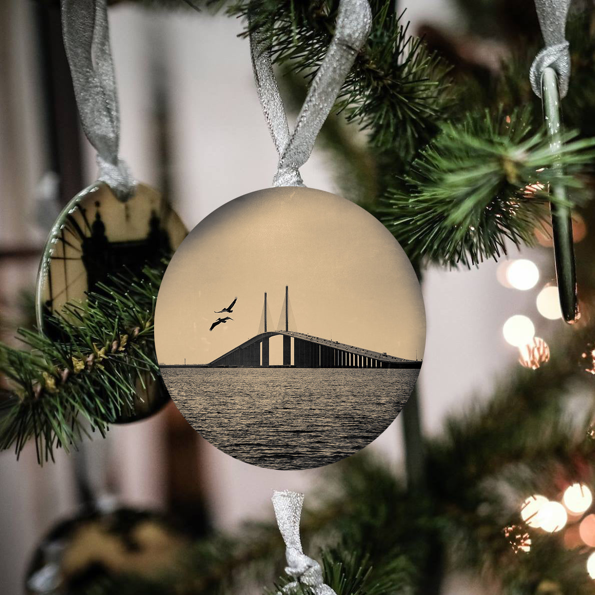 Skyway Bridge