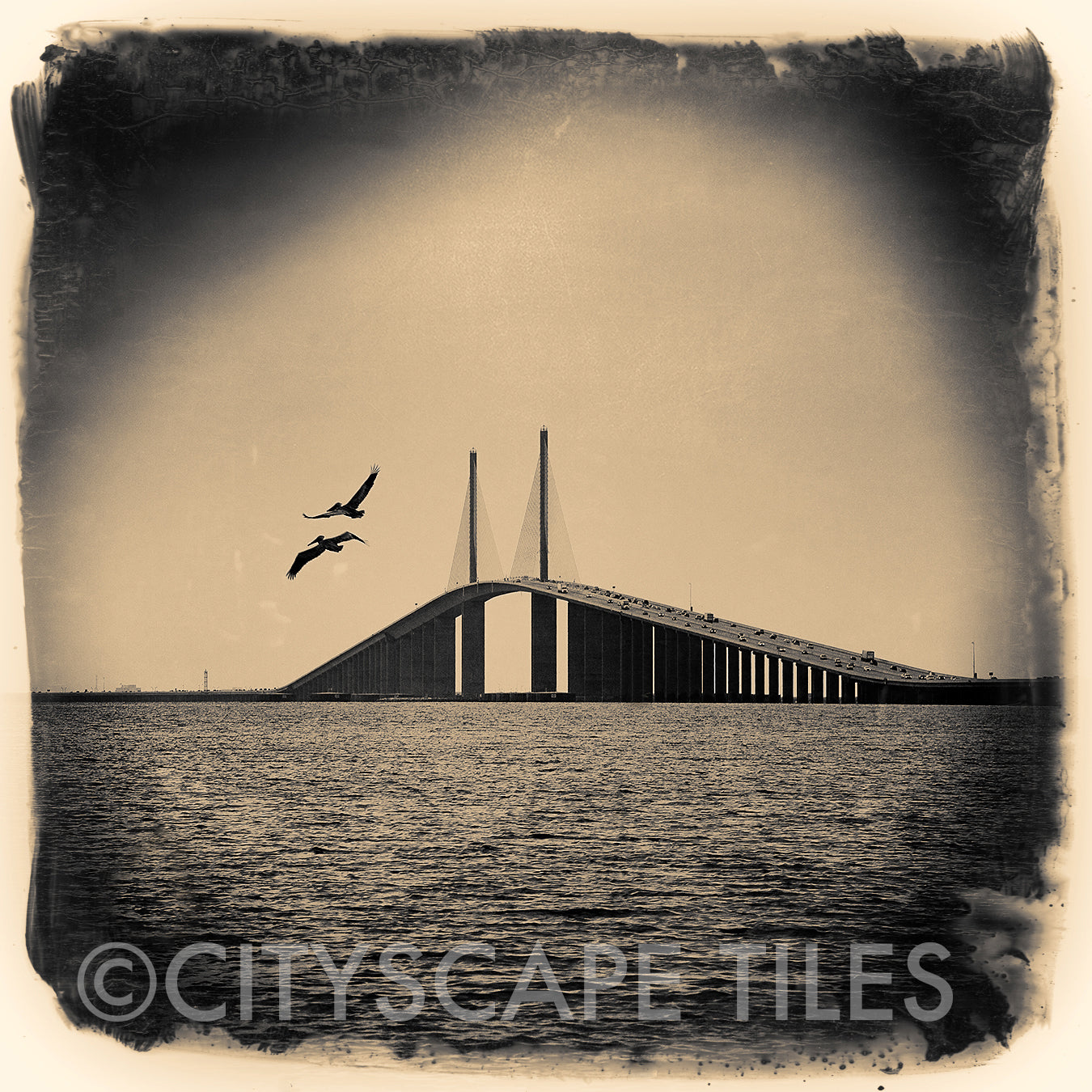 Skyway Bridge
