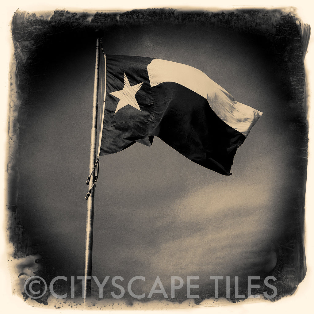 Texas Flag