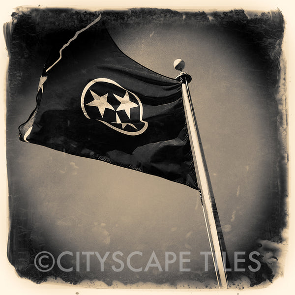 Tennessee Flag Chattanooga