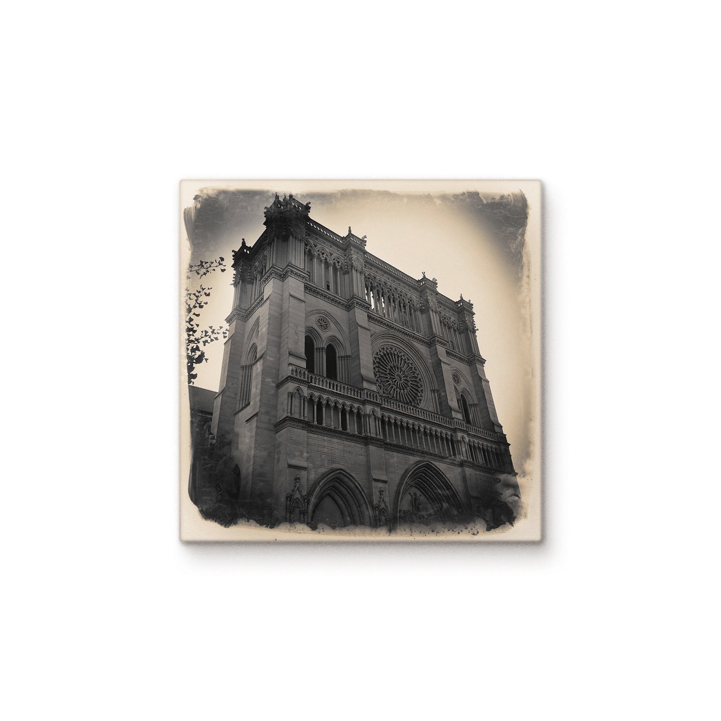 Cathedral Basilica of the Assumption