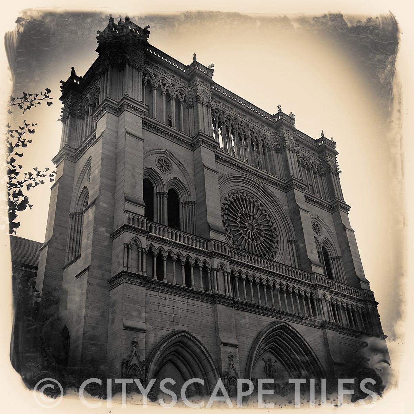 Cathedral Basilica of the Assumption