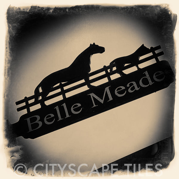 Belle Meade Horses