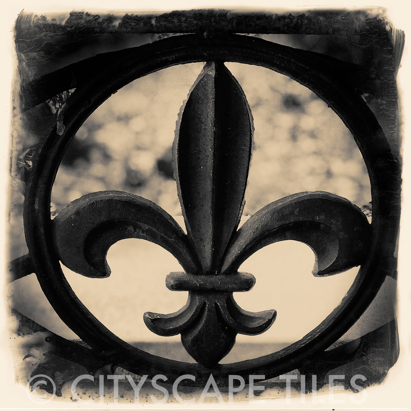 Fleur De Lis