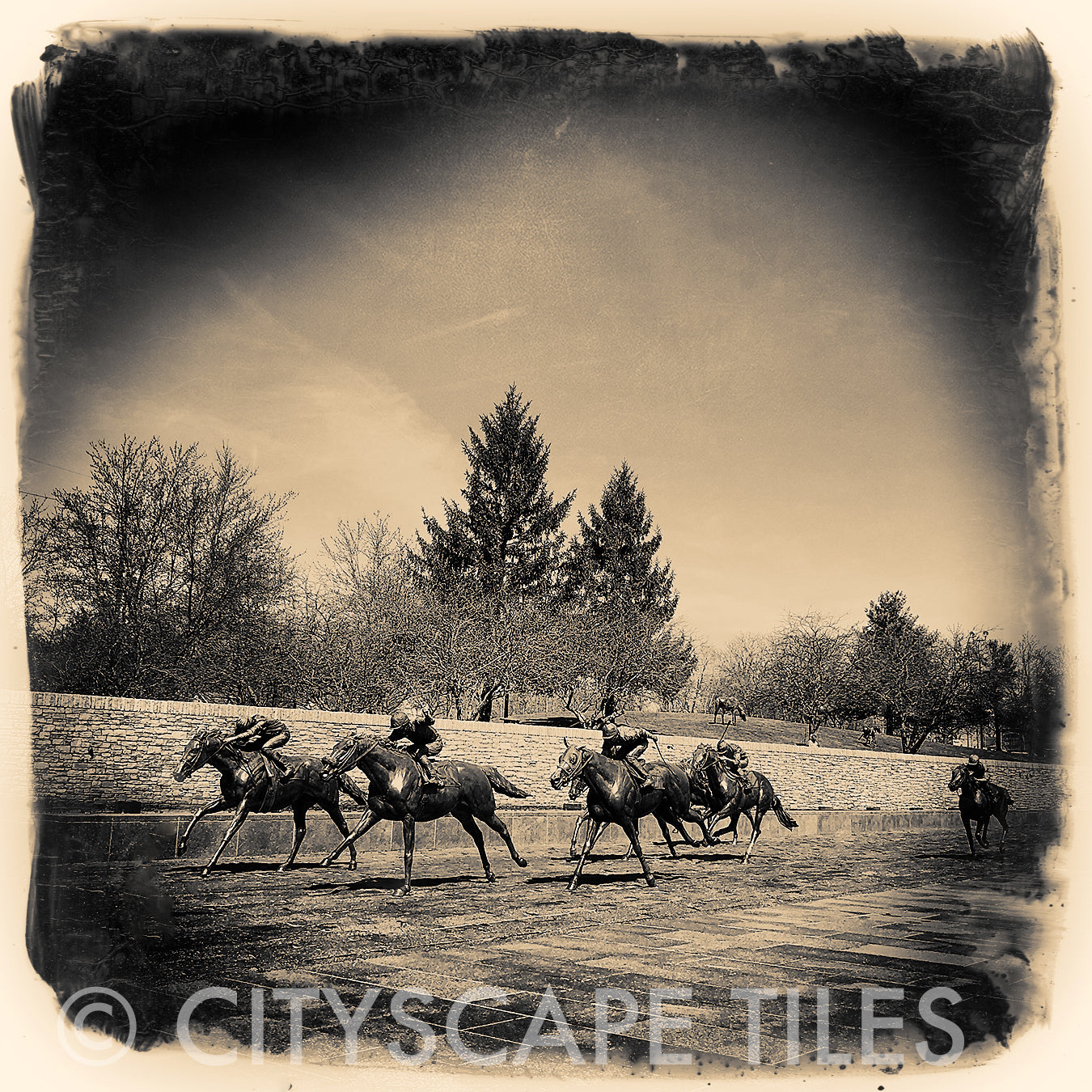 Horse Racing Park