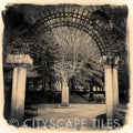 Krutch Park