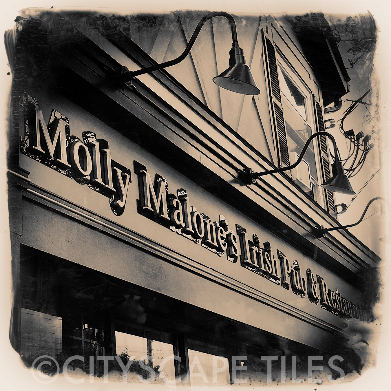 Molly Malone's