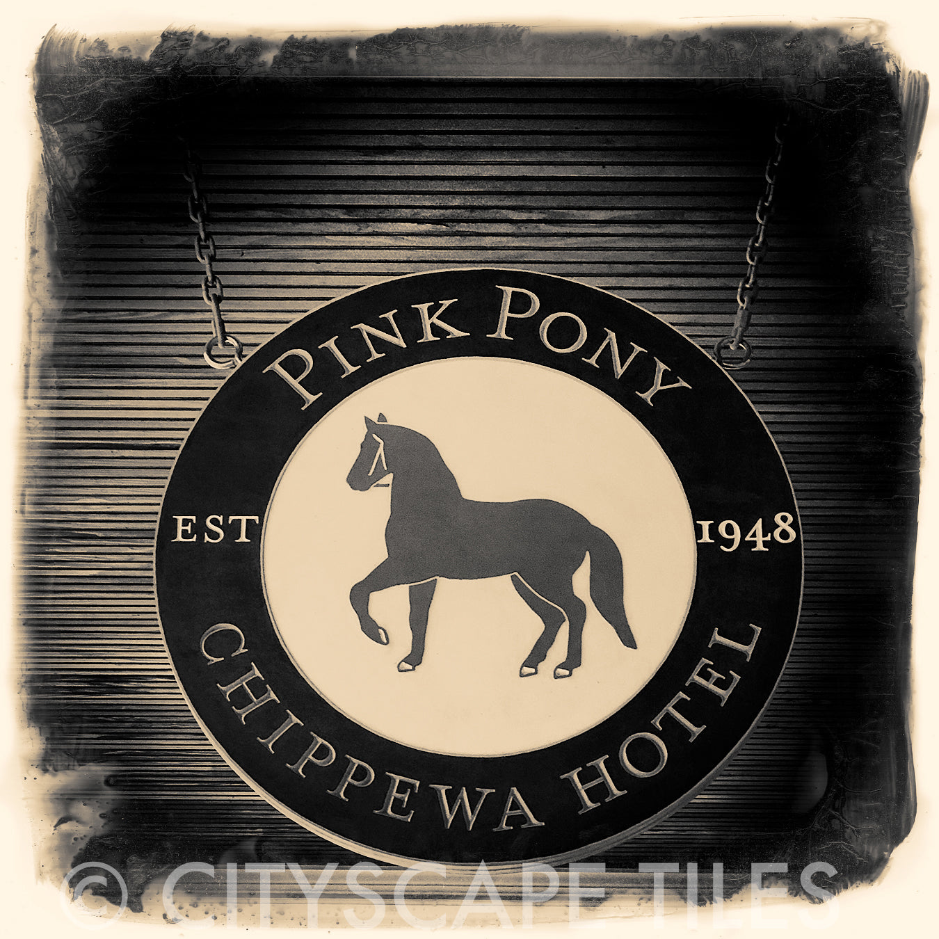 Pink Pony