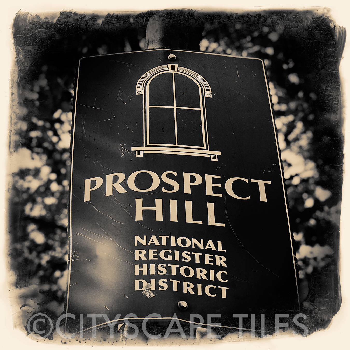 Prospect Hill