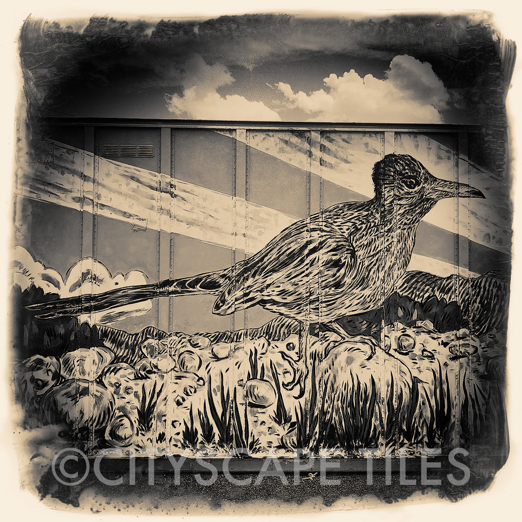 Roadrunner