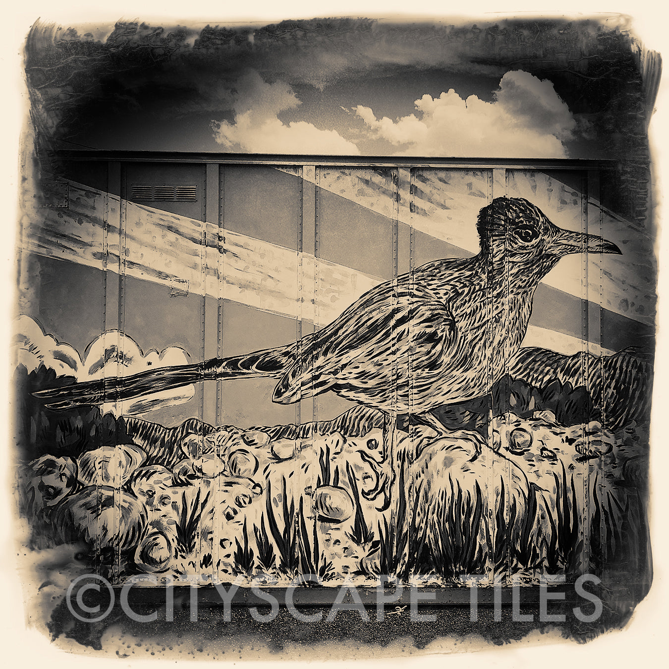 Roadrunner