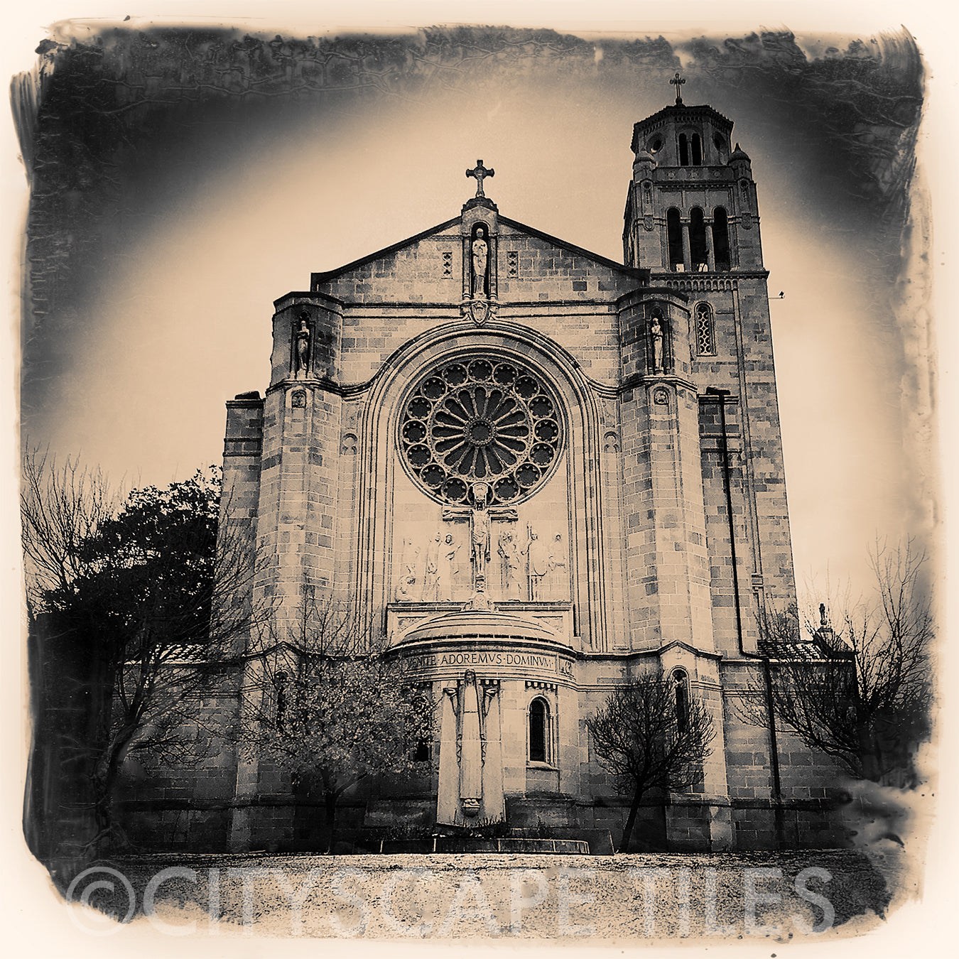 St Monica St George