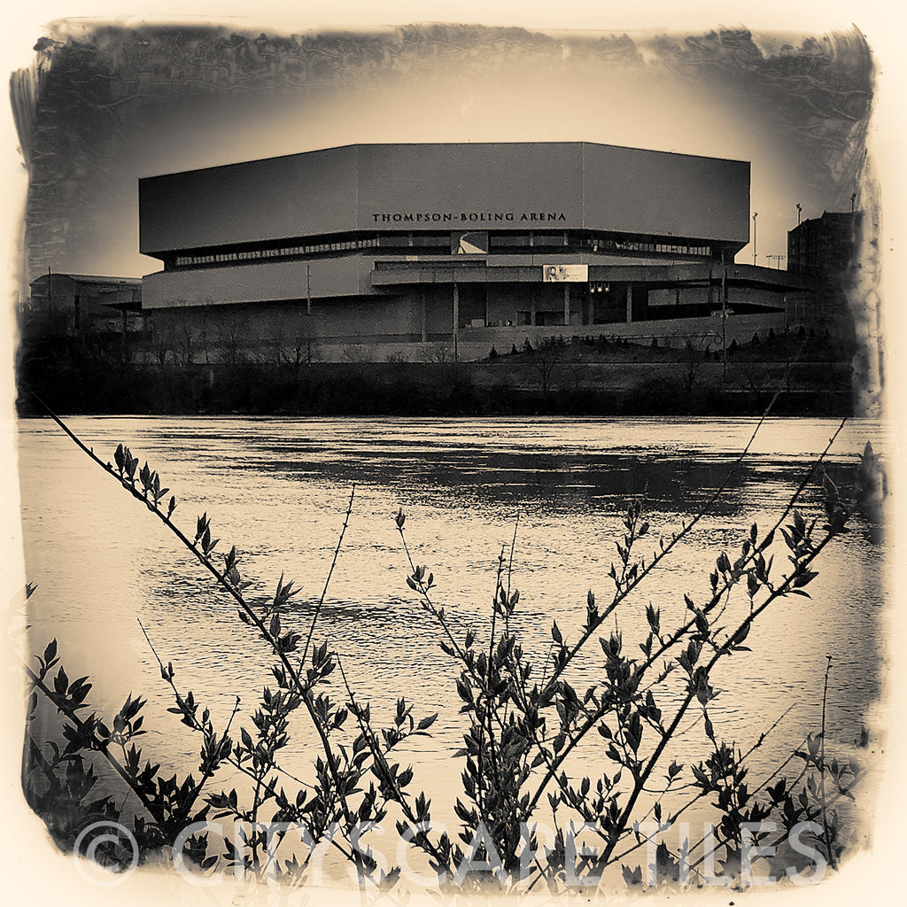 Thompson Boling Arena