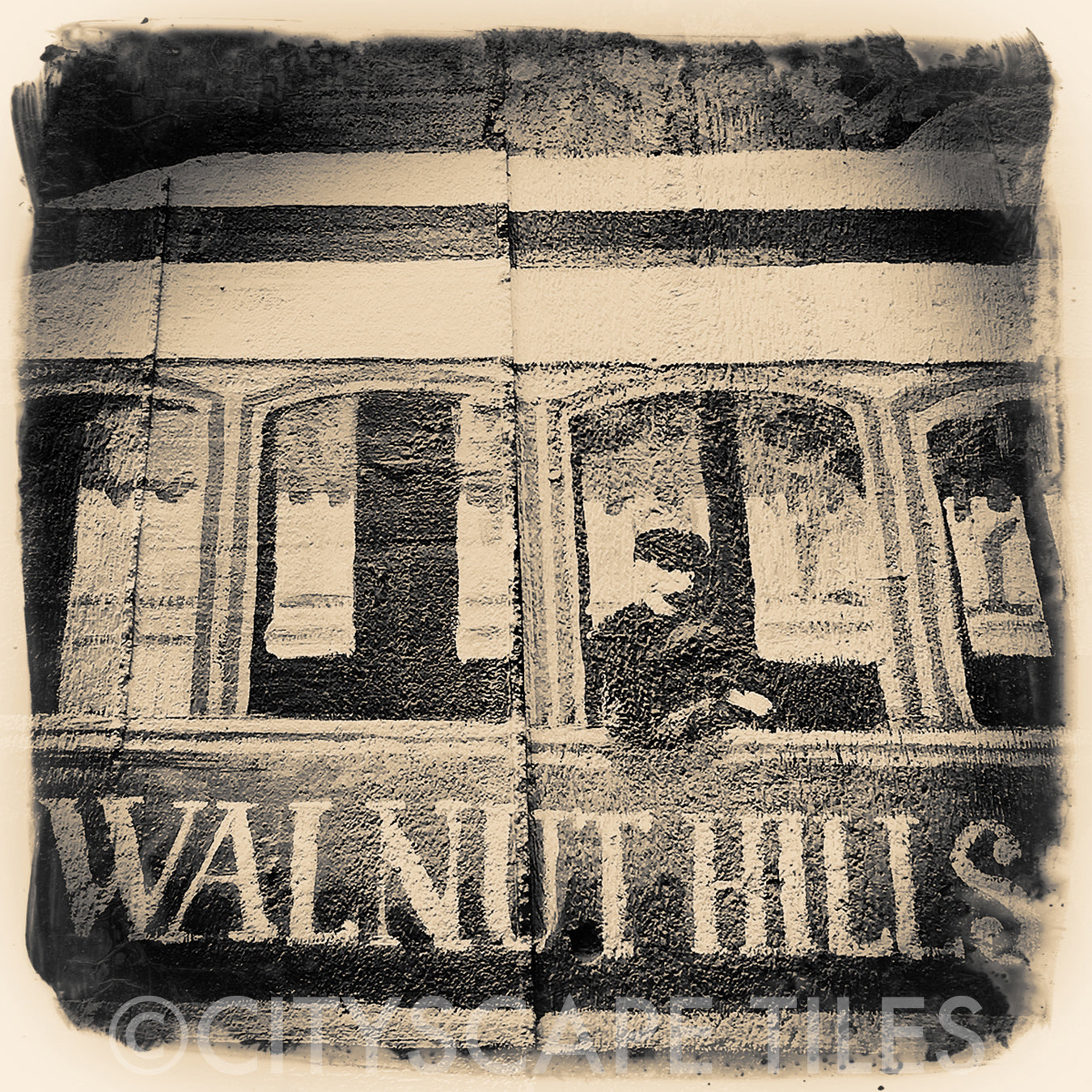 Walnut Hills Mural